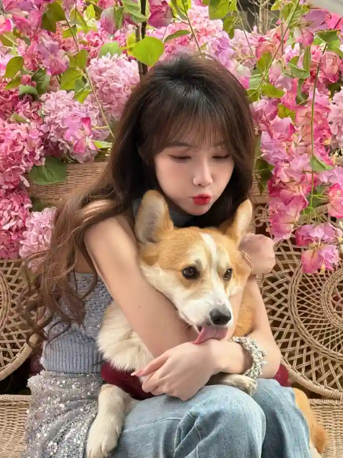 数字化排班表示例